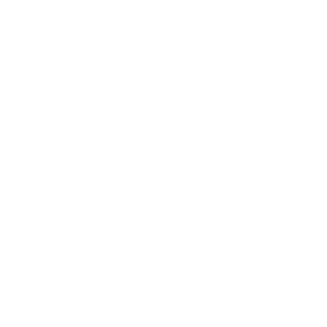 20 years' experience